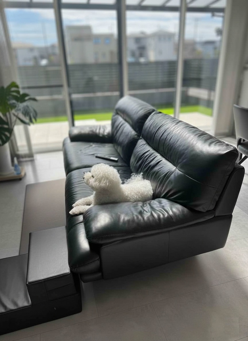 【埼玉県三郷市】ワンちゃんと家族が主役。三郷で叶えた「高効率＆心地よい」シンプルモダンな家