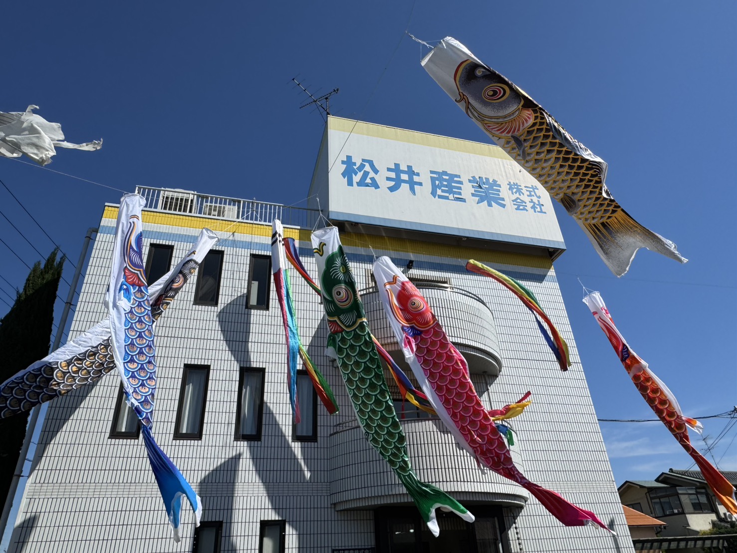 🎏【端午の節句】 5月の爽やかな風と、未来を見据えた住まい こどもの日